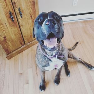 Meet your Posher, Sara